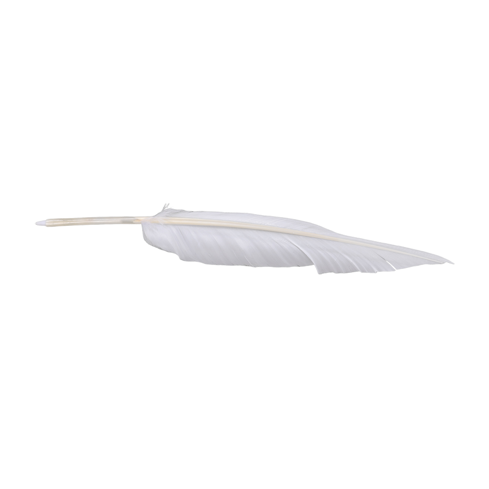Anime Sousou of Frieren Cospla – Frieren Cosplay Prop Bewertung und Preis